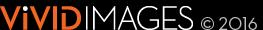 Vivid Images © 2016